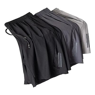 Imagem do produto Kit 3 Bermuda Masculina Importada Seda de Secagem...