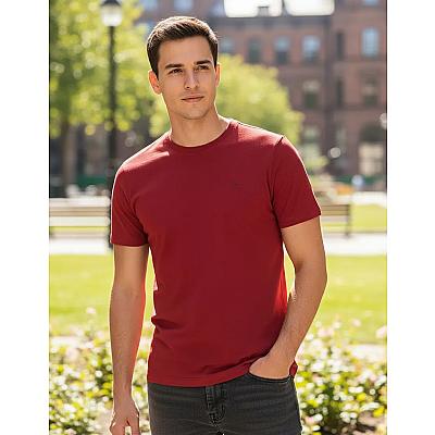 Imagem do produto Camiseta Básica Ogochi Masculina Lisa Tecido Premi...