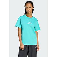 Imagem do produto CAMISETA ESTAMPADA ADRENALINE AESTHETIC SEMI MINT...